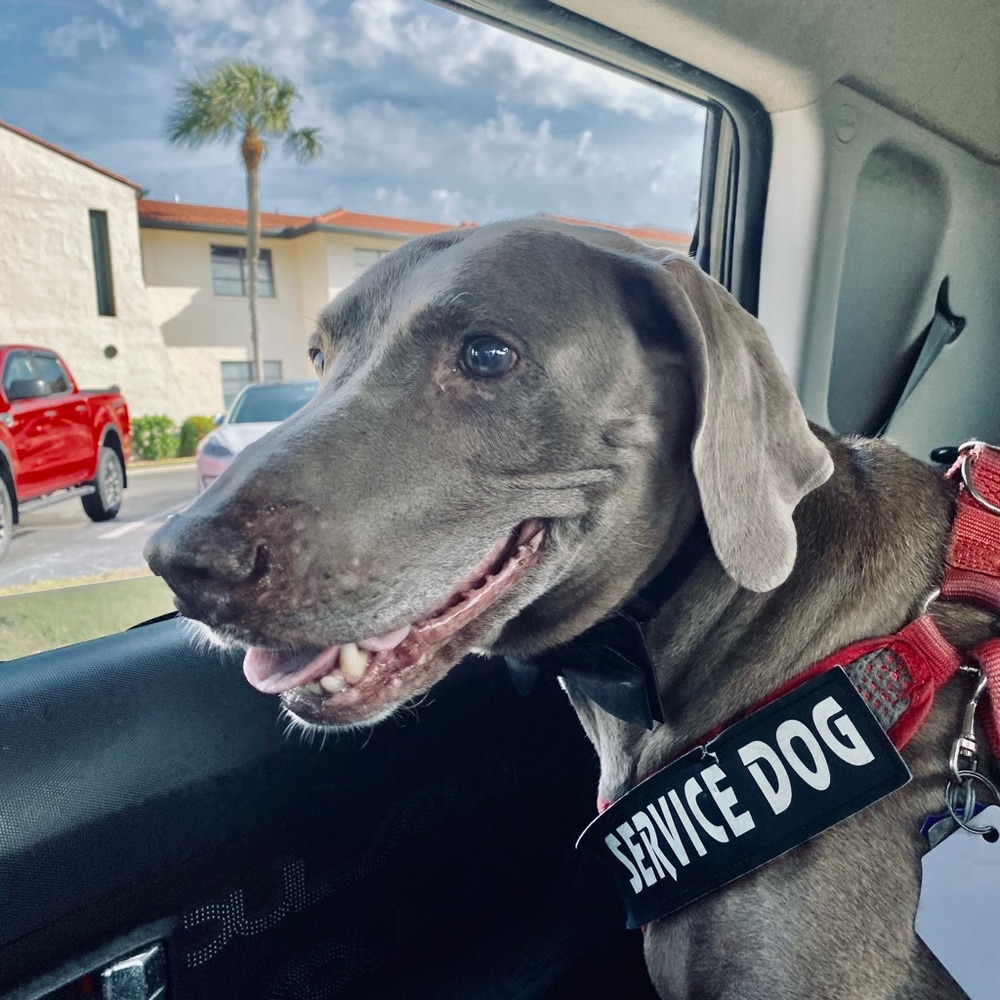 🌴Meet Me🌴 - Picture 4 of 5